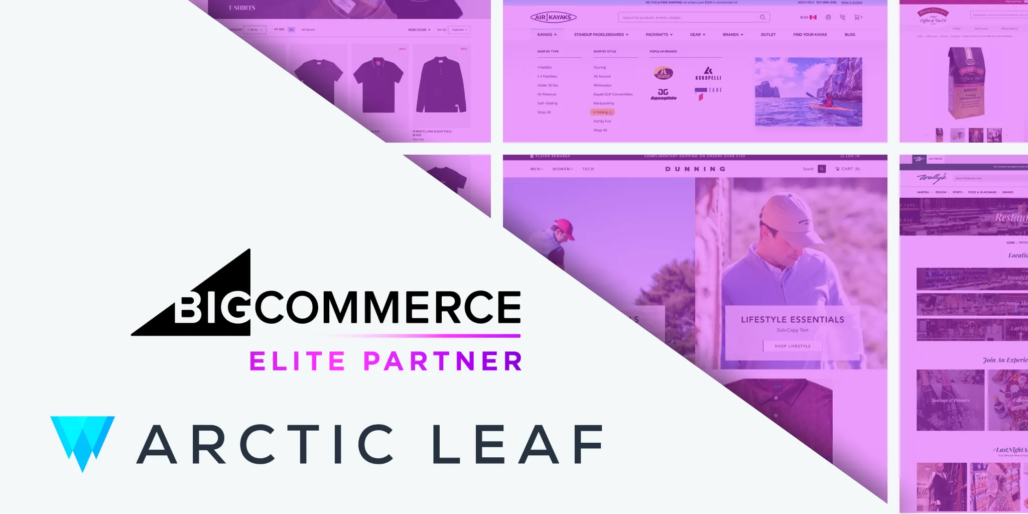 Elite Partner Agency Status | Arctic Leaf