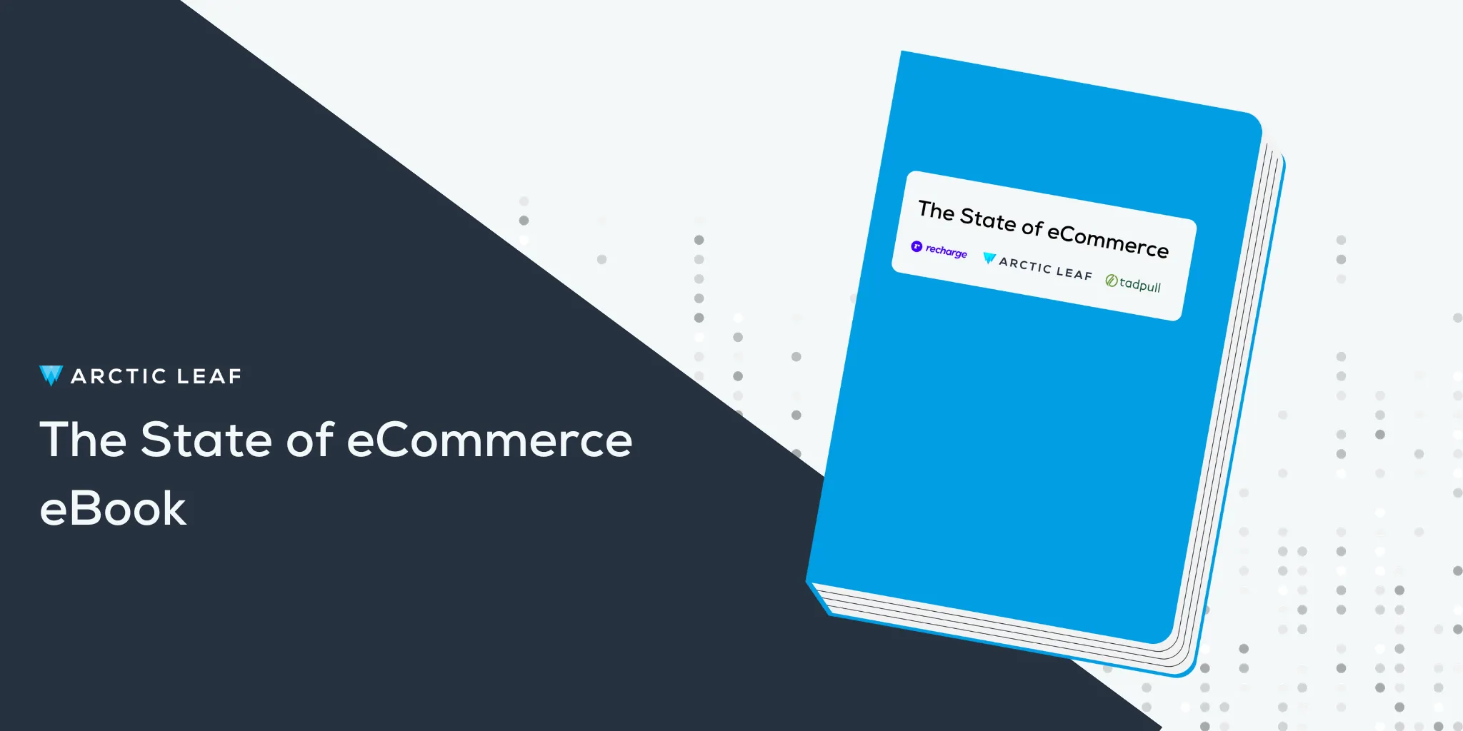 Arctic Leaf authors The State of eCommerce eBook