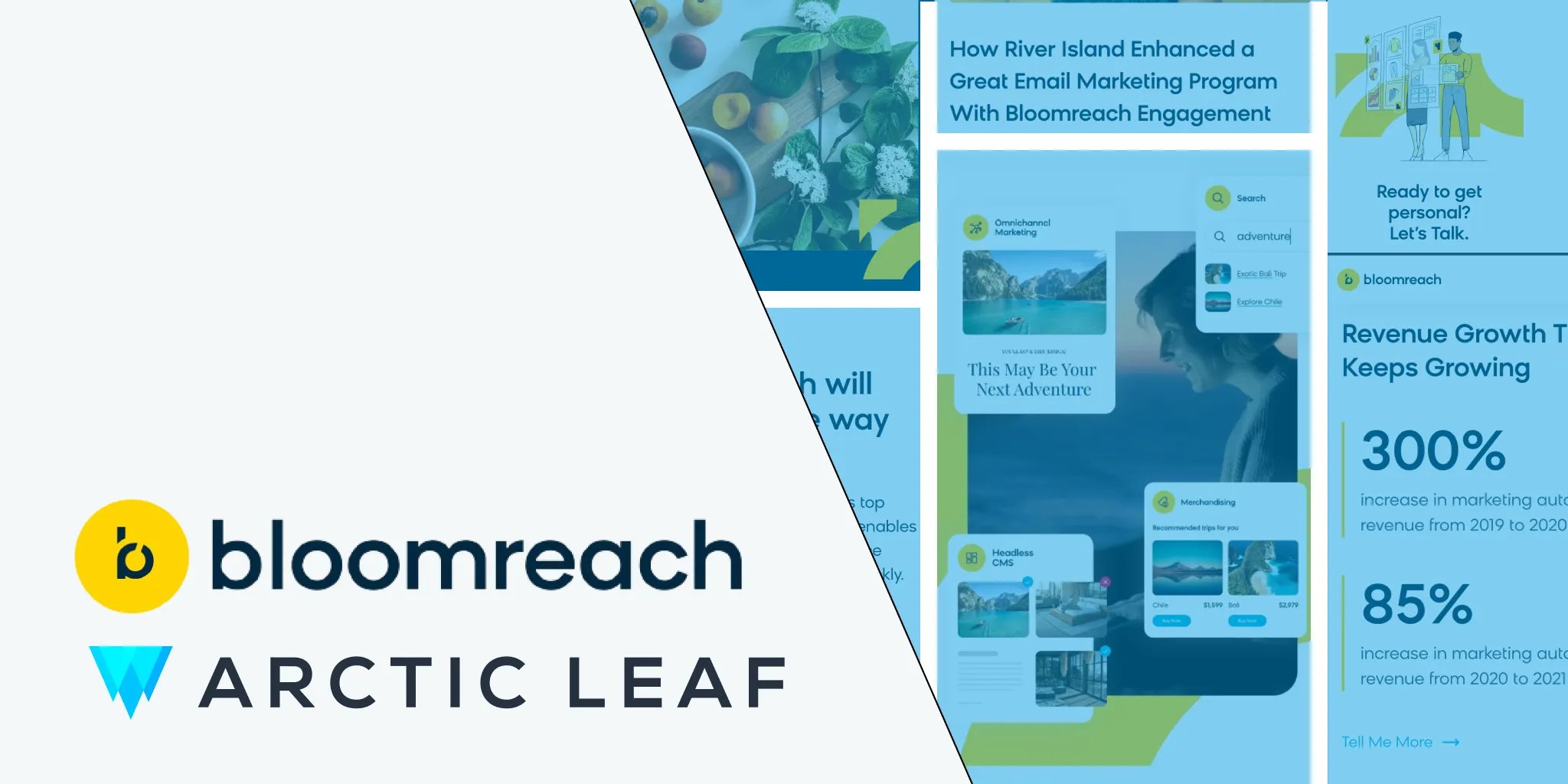 Bloomreach Partnership Announcement | Arctic Leaf