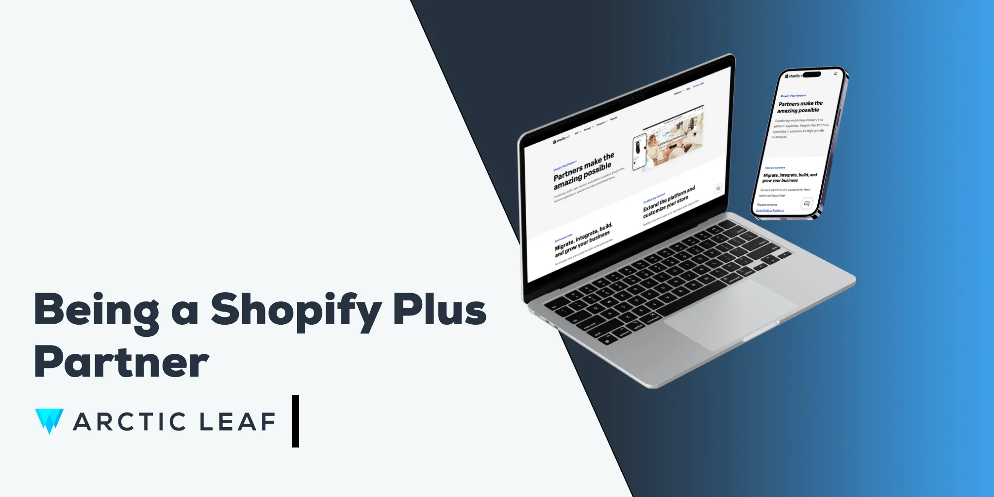 Being a Shopify Plus Agency Partner | Arctic Leaf