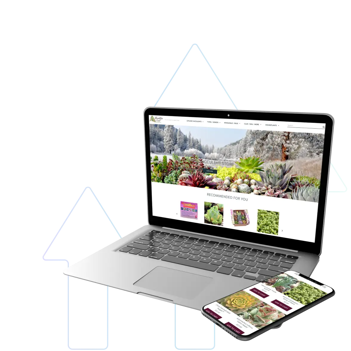 A laptop and smartphone displaying an online succulent store website, with product images of various plants shown on both screens. The devices are positioned at an angle against a white background with subtle geometric shapes.