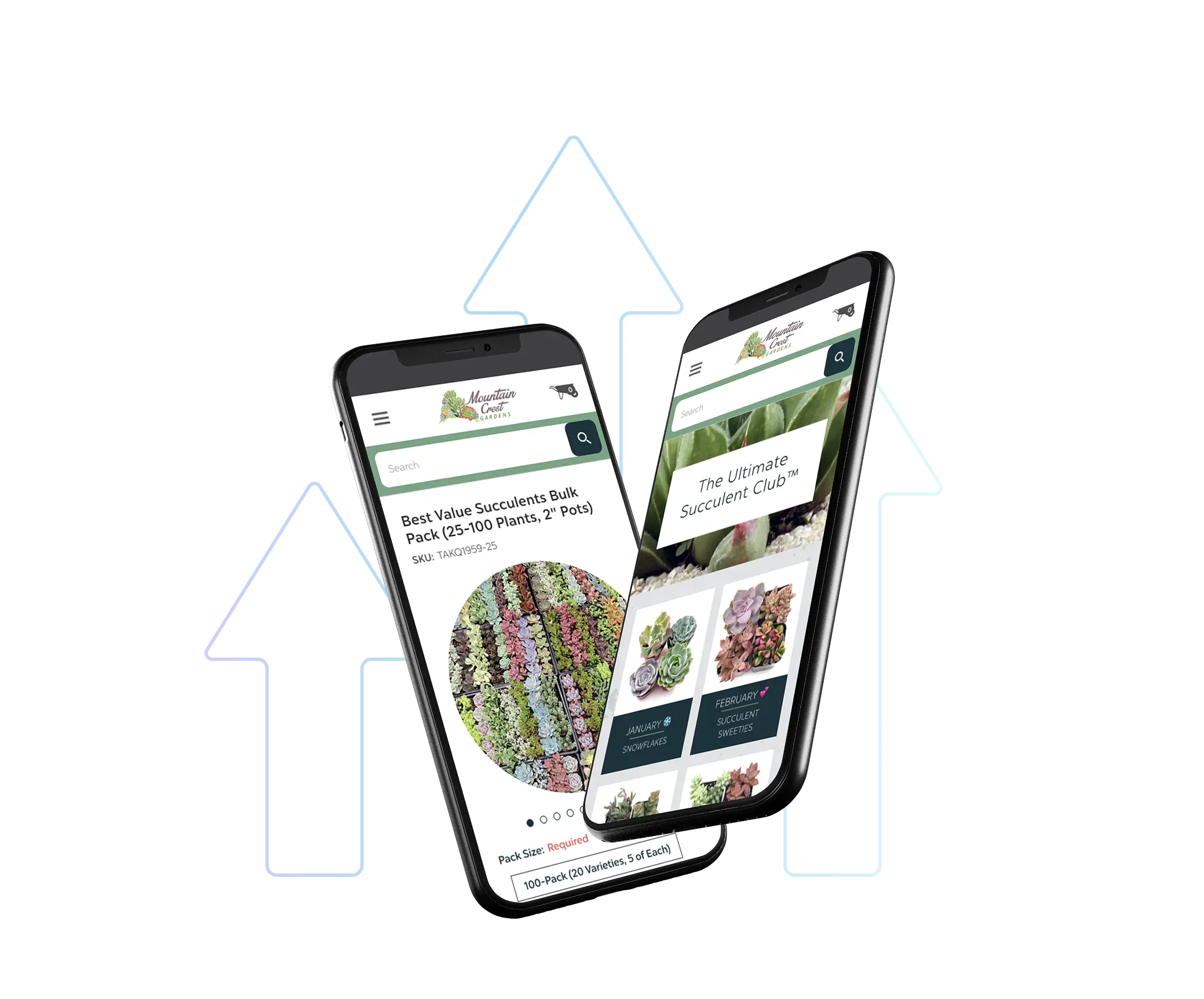 Two smartphones display a plant e-commerce site, Mountain Crest Gardens, showcasing a “Best Value Succulents Bulk Pack” on one screen and “The Ultimate Succulent Club™” with monthly themed assortments on the other. Behind them, upward-pointing pixel arrows suggest growth in mobile shopping or increased conversion rates for online succulent sales.