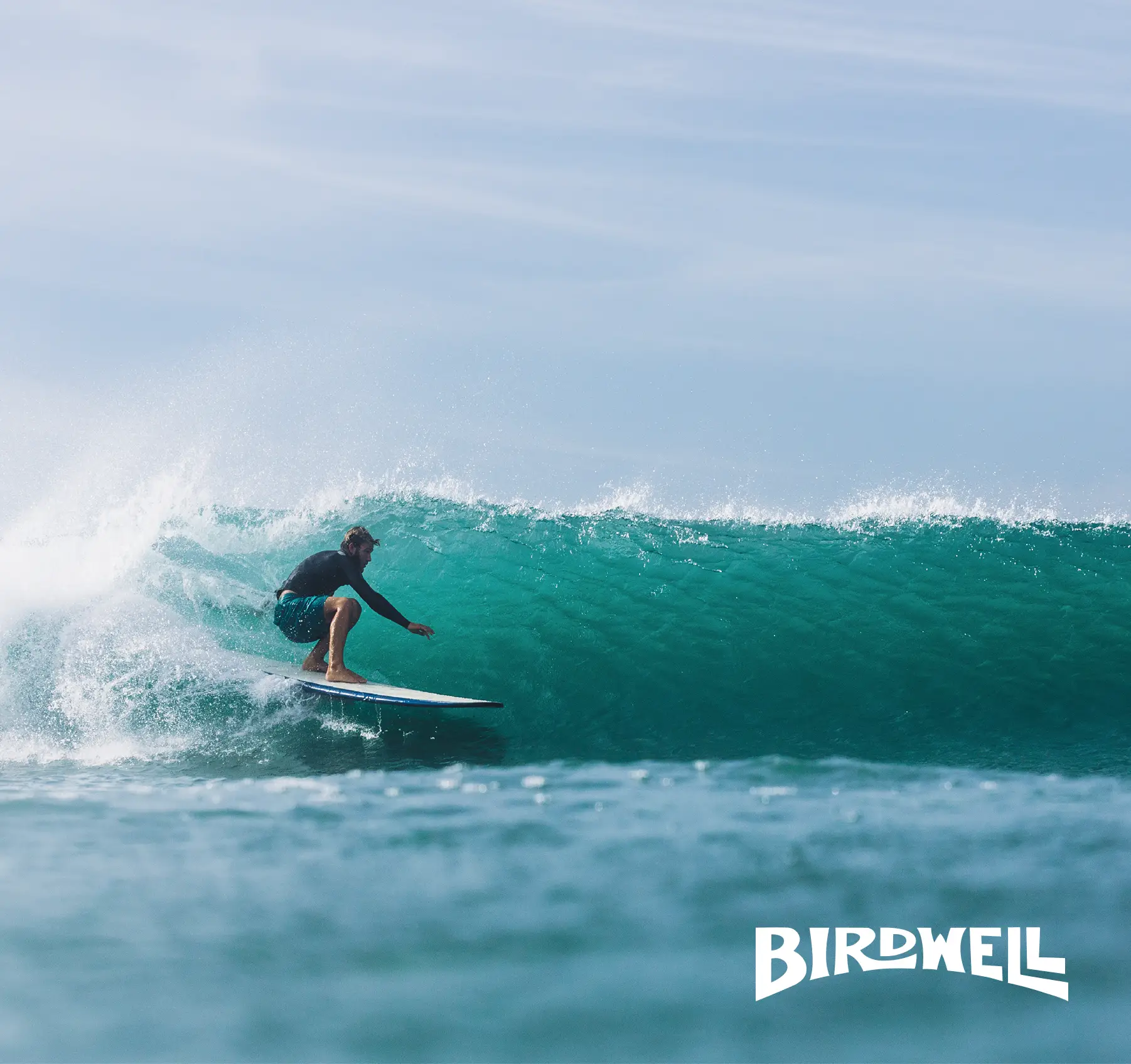 Birdwell Beach Britches