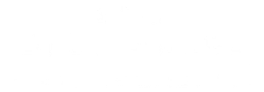 Selle Anatomica Logo