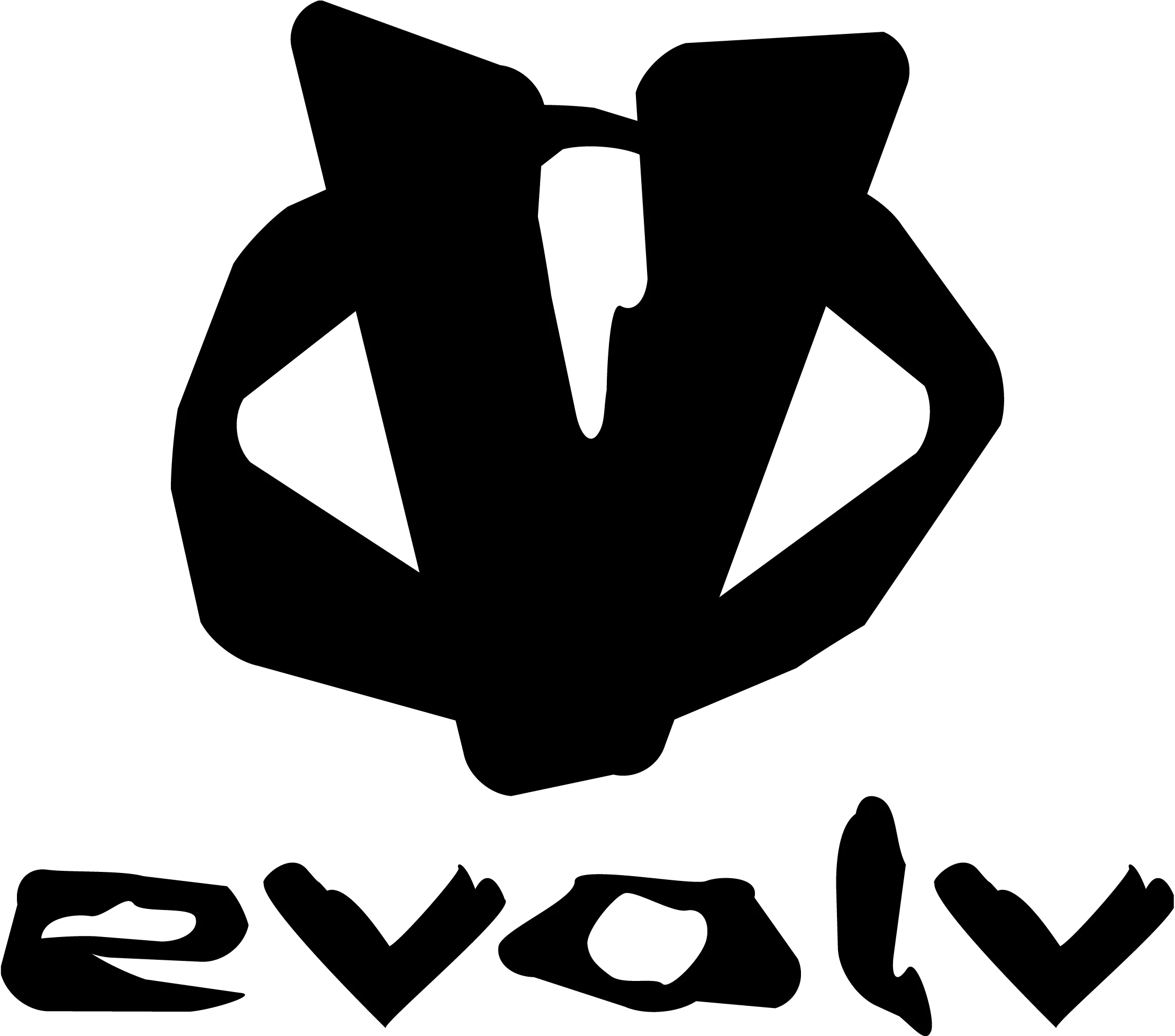 Evolv Sports Logo