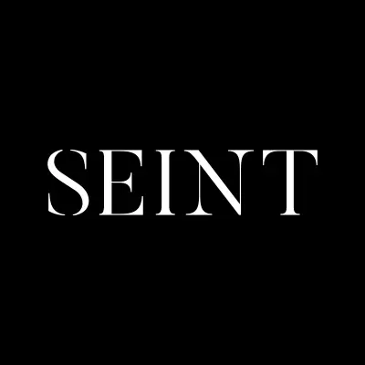 Seint Official Logo