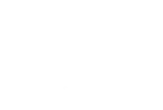 Nick Graham logo