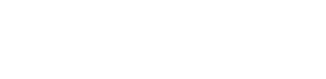 Shark Wheel Logo