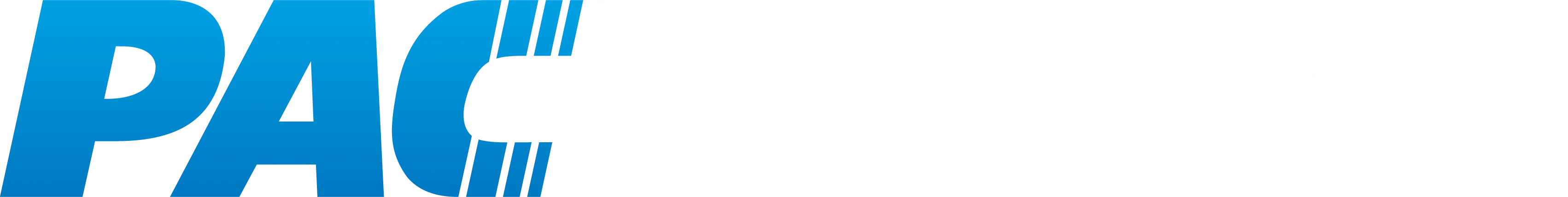 Pacbrake Logo