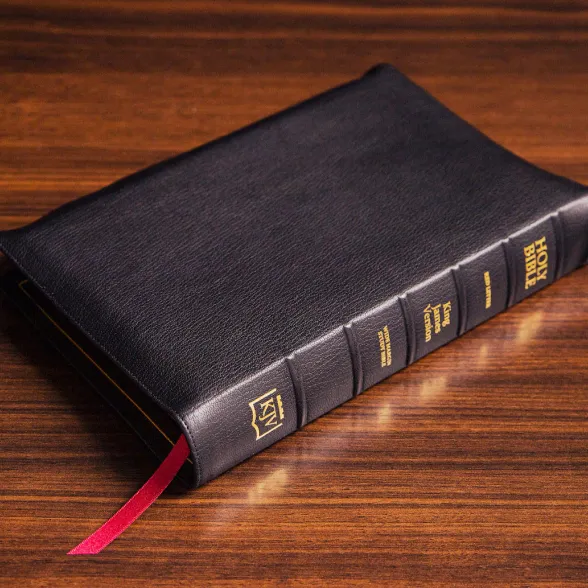 Portfolio Cover
