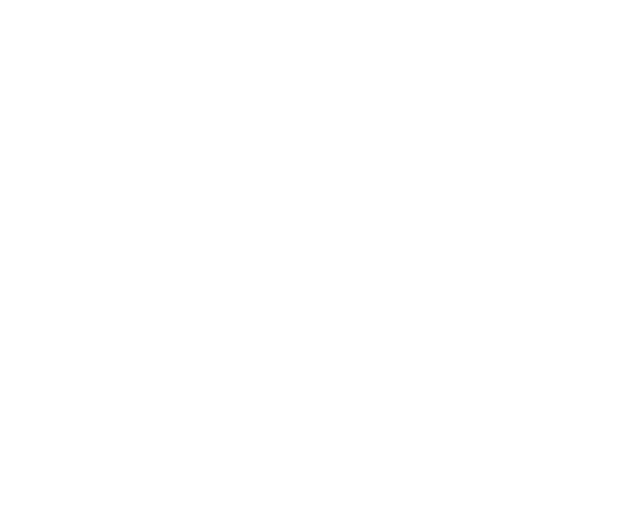 The Warrior Project